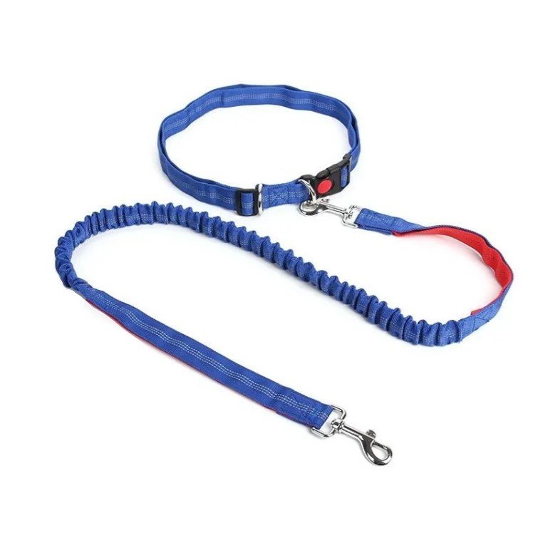 Lesa hands free de caini pentru alergare si plimbari, aexya, albastru cu rosu, 2 m lungime
